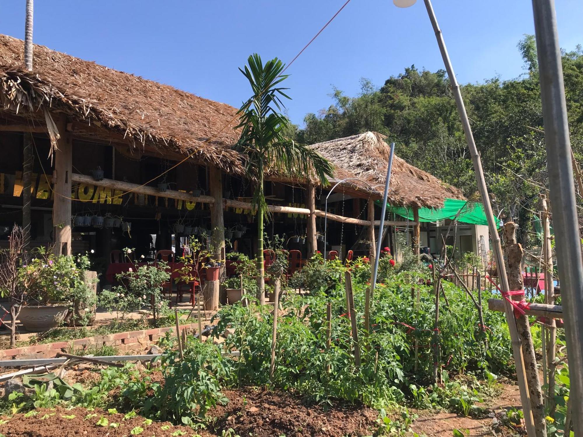 Bee Lucky Homestay Hien Hao المظهر الخارجي الصورة