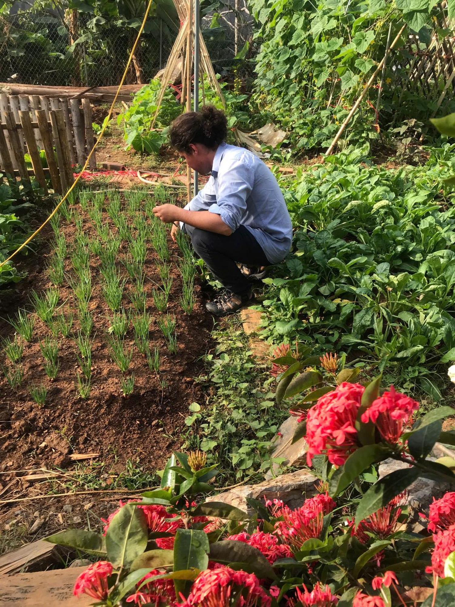 Bee Lucky Homestay Hien Hao المظهر الخارجي الصورة