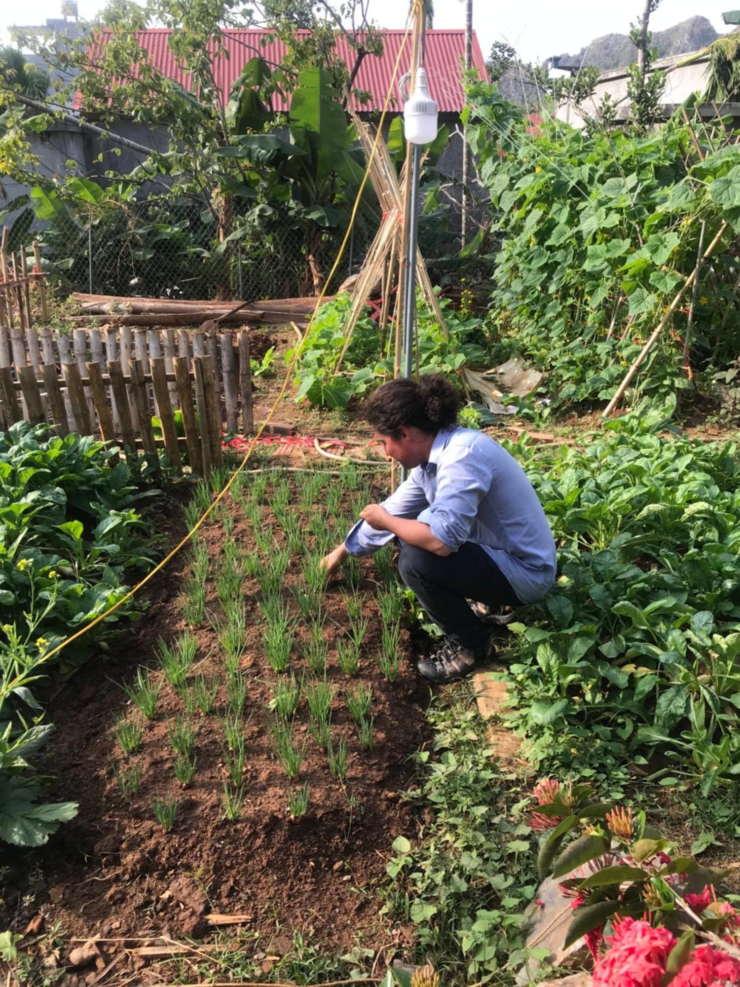 Bee Lucky Homestay Hien Hao المظهر الخارجي الصورة