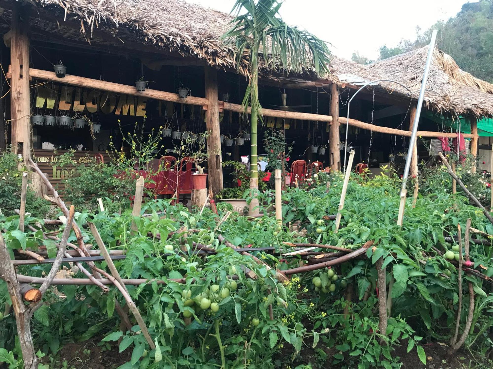 Bee Lucky Homestay Hien Hao المظهر الخارجي الصورة