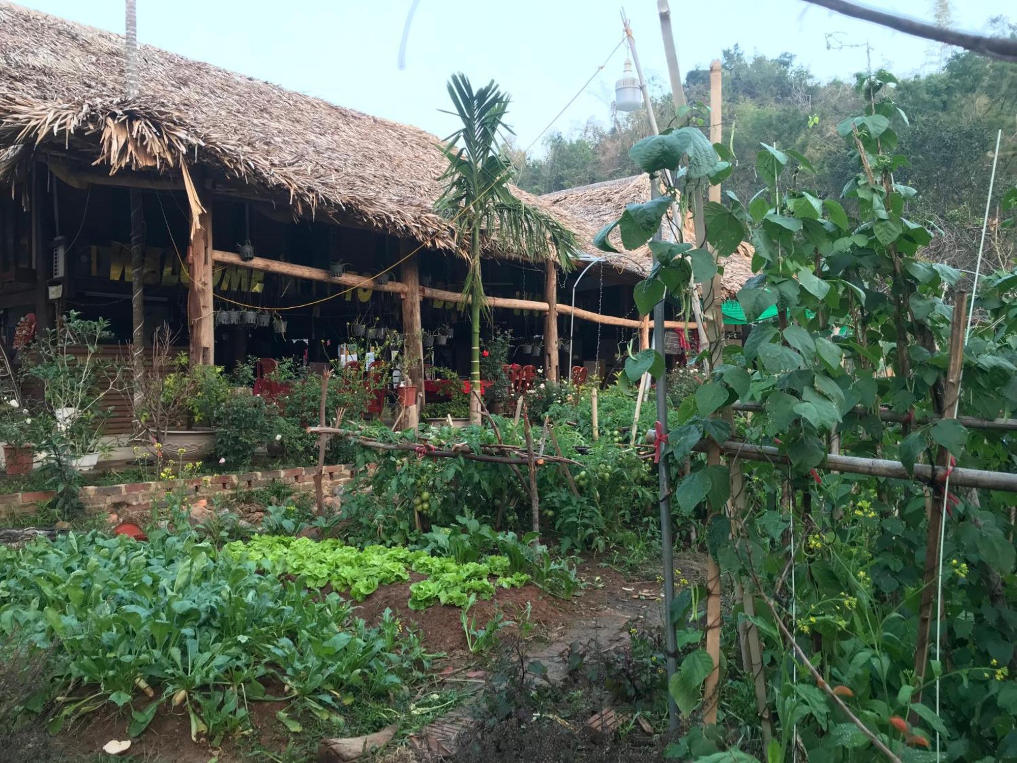 Bee Lucky Homestay Hien Hao المظهر الخارجي الصورة