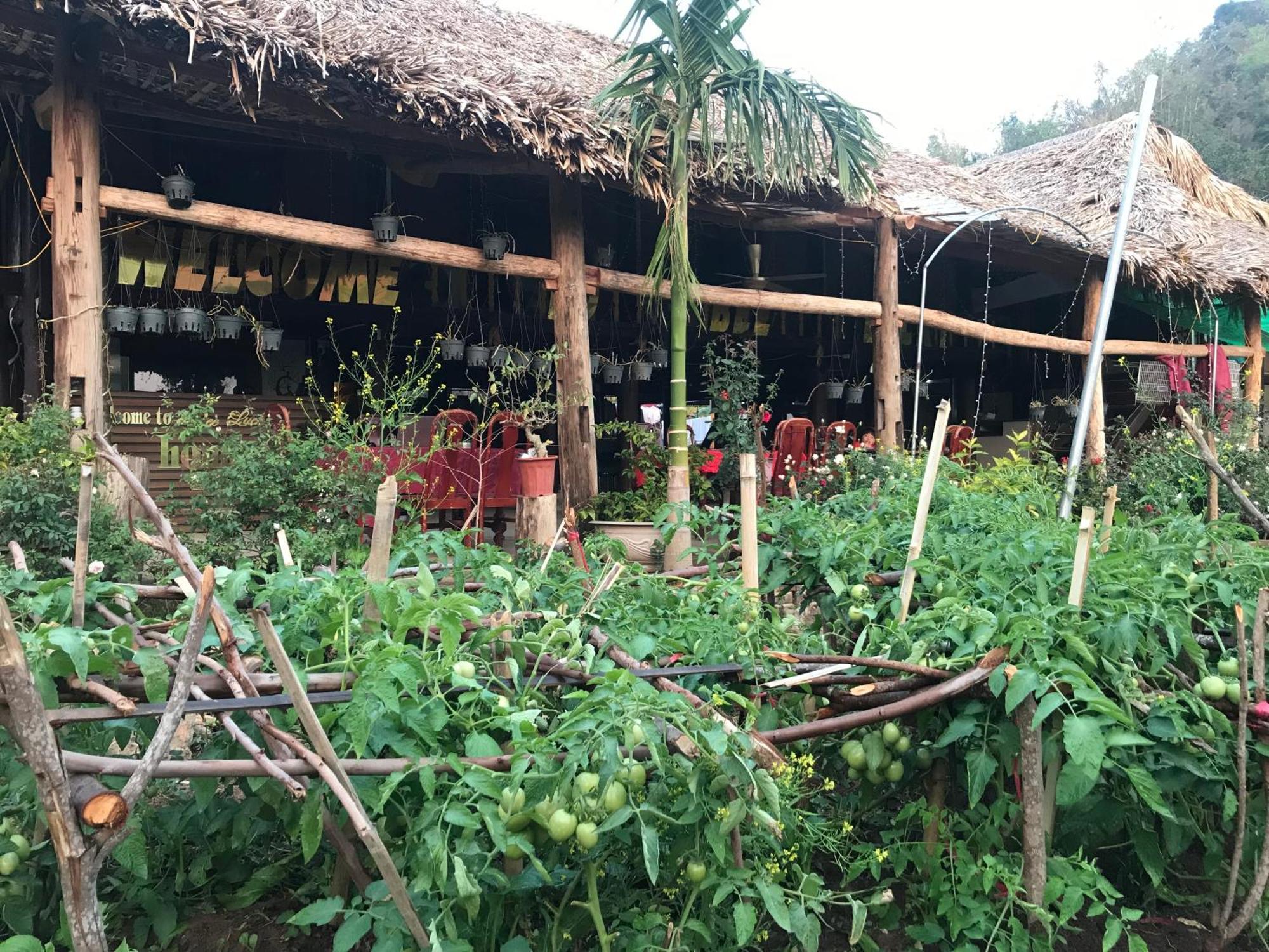 Bee Lucky Homestay Hien Hao المظهر الخارجي الصورة