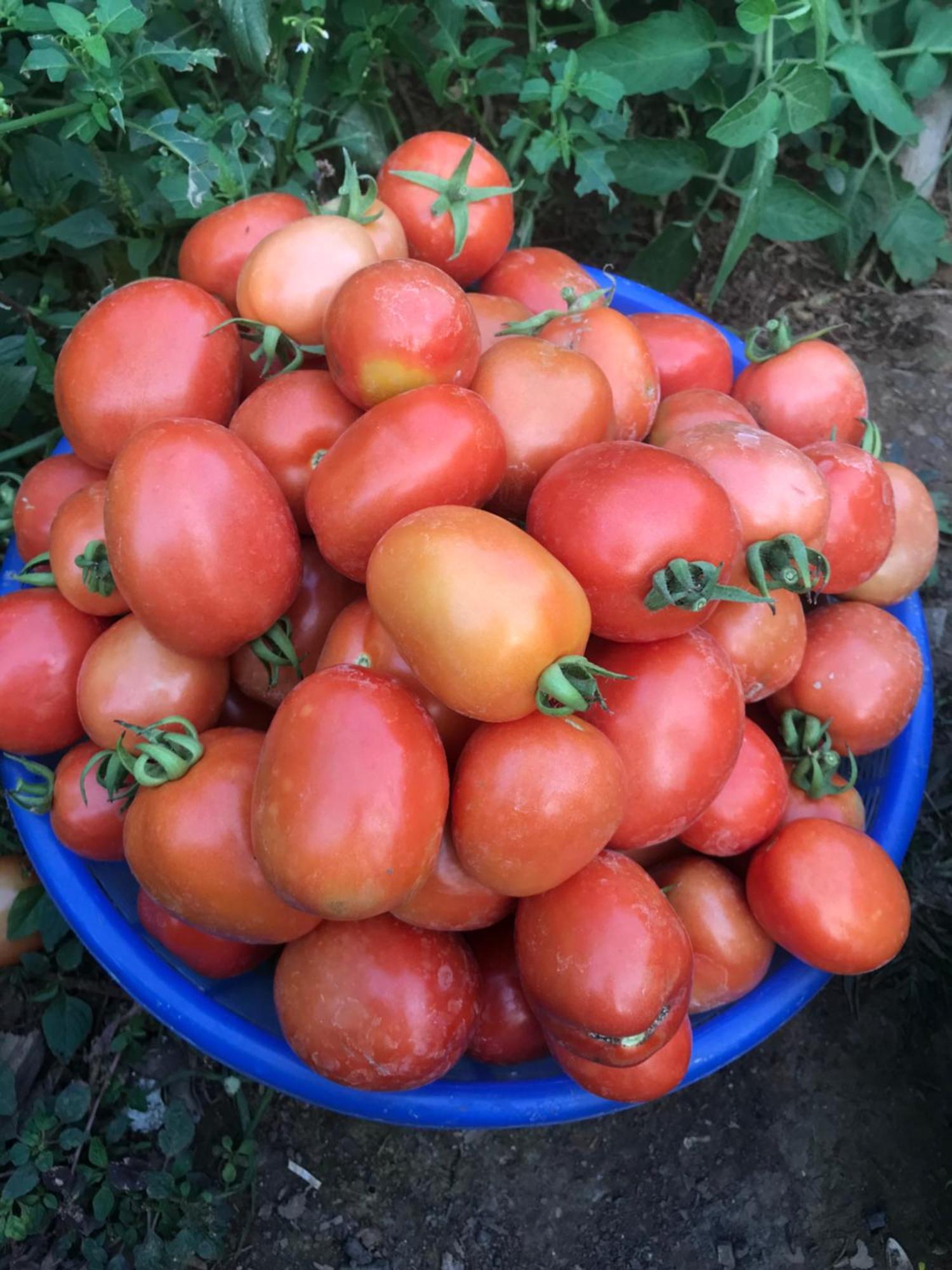 Bee Lucky Homestay Hien Hao المظهر الخارجي الصورة